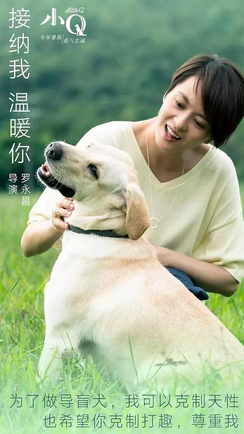北爱达荷学院商业管理文凭证书